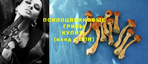 бутират Алексин